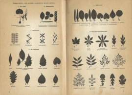 Wat is dat voor een boom? – A. Kosch en M.C.H. Ruys - 1951