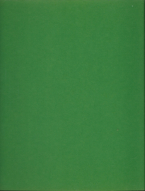 DIE WIEGE – FRIEDRICH VON ZGLINICKI - 1979