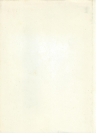 oerwouden langs de amazone – Marcia Willis - 1971