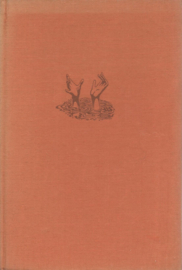 STORMVLOED 1953 - Henk Cornelissen - 1953