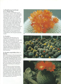 Elseviers Cactussen boek – S.K. BRAVENBOER - 1978