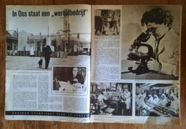 DE Spiegel – Volk in opstand - 1953