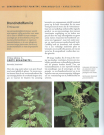 Geneeskrachtige PLANTEN & KRUIDEN – Dr. Ute Künkele, Till R. Lohmeyer - 2009