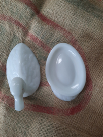 Opaline eend