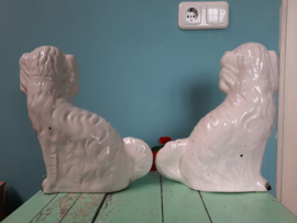 Schouwhondjes (Hoerenhondjes)