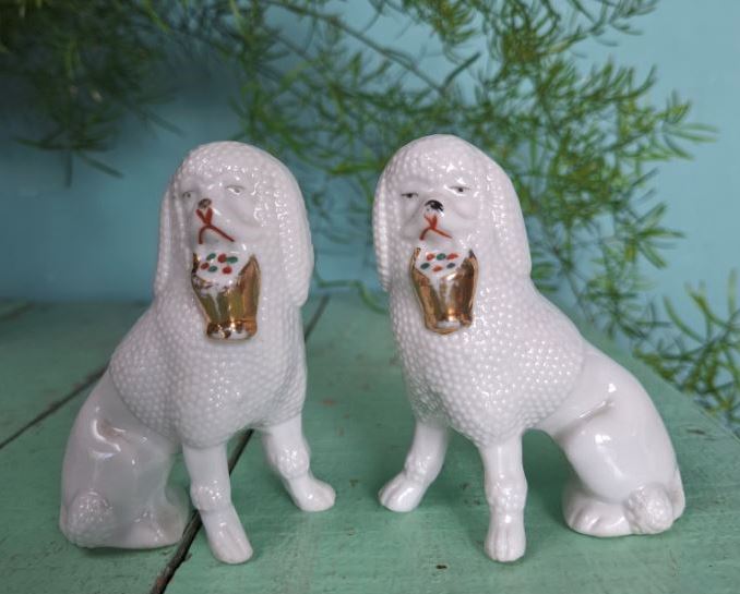 Schouwhondjes met gouden mandjes