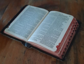 BIJBEL DAT IS DE GANSCHE HEILIGE SCHRIFT VERVATTENDE … - 1934