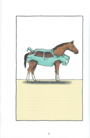 Straffe zijwind – Nelleke van der Krogt - 2010