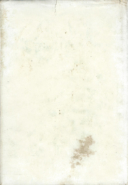 Dorien en haar piloot – NEL VEERMAN - 1967