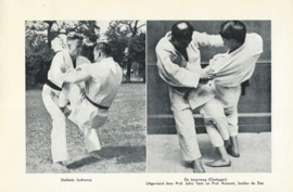 JUDO – MAURICE VAN NIEUWENHUIZEN - 1948