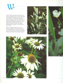 Kleur in de Tuin - Elisabeth de Lestrieux / Fotografie Marijke Heuff en Kees Hageman - 1988