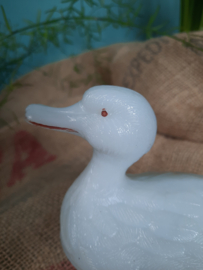 Opaline eend