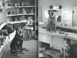 HONDERDEN HONDEN – Elliot Erwitt - 1998