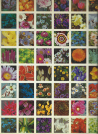 2000 tuin/ kas/ en kamerplanten in kleur – Roy Hay en Patrick M. Synge - 1970