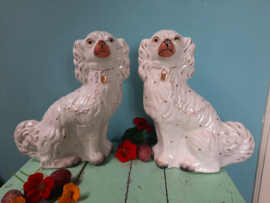 Schouwhondjes (Hoerenhondjes)
