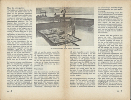 AO (Actuele Onderwerpen) - nr 282 - Zeeuwse Oesters - 1949