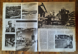 DE Spiegel – OOSTKAPELLE - 1954
