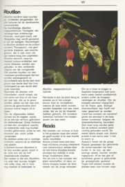 modern kamerplanten boek – daan smit - 1975