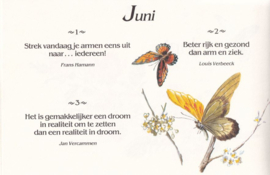 ‘Goede Morgen!’ kent geen grenzen – Florence Ward en Jac Linders - 1983
