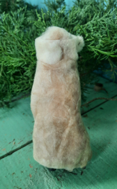 Wattenpopje Katjes