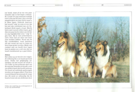 De Collie – rassengids – 1982