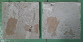 Antieke tegels – Delft, herderstaferelen – 2 stuks - 18e eeuw