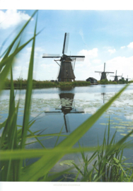 Verliefd op Nederland - Roëll de Ram - 2021