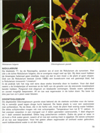 201 KAMERPLANTEN IN KLEUR – ROB HERWIG - 1976