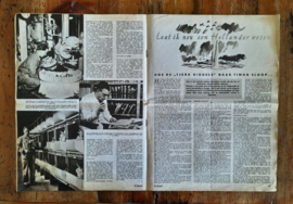 DE Spiegel – 5 stuks – 1953 - 4