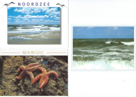 SET van 3 ansichtkaarten – ZEELAND – NOORDZEE