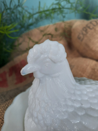 Opaline kip op mand