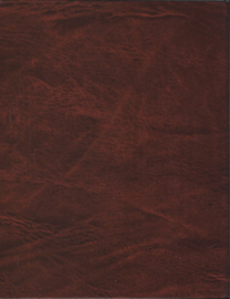 Braaf – Rien Poortvliet - 1983