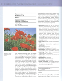 Geneeskrachtige PLANTEN & KRUIDEN – Dr. Ute Künkele, Till R. Lohmeyer - 2009