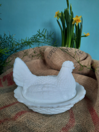 Opaline kip op mand