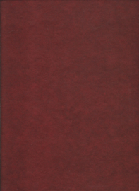 Grote Reis-Encyclopedie van Europa – Italië – J.I. Woldring – 1985