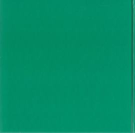 WOLPHAARTSDIJK IN VROEGER TIJDEN – Arjaan Katsman - 1998