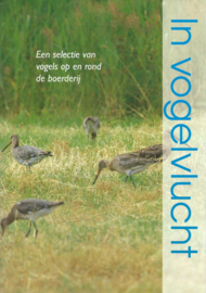 In vogelvlucht – G. Atzema e.a.