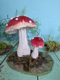 Paddestoelen, rood met witte stippen