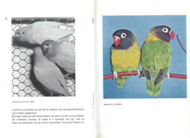Dwergpapegaaien en lori’s – R.R.P. van der Mark - 1965