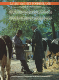DE BOER DE KOE EN ONZE ZUIVELINDUSTRIE – ALFRED VAN DIJK - 1983