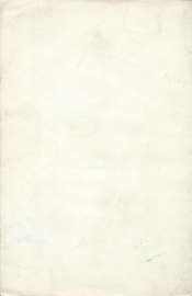 Gertje van de MEESTER – N. SAMPIEMON-VAN VLIET - 1954