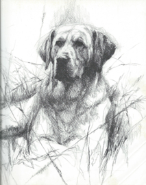 Braaf – Rien Poortvliet - 1983