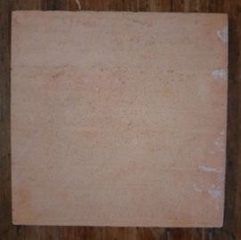 Antieke tegel – Delft - handgeschilderde vogel op een tak - 1