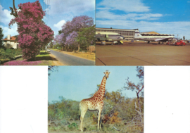 SET van 12 ansichtkaarten - Zuid-Afrika  – jaren ‘60
