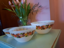 Nest schalen Jena Glass