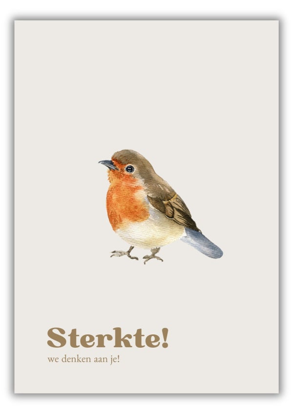 Wenskaart - Troostend roodborstje - Joke Ontwerpt