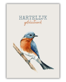 Wenskaart - Charmant roodborstje - Joke Ontwerpt