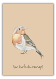 Wenskaart - Stijlvol roodborstje - Joke Ontwerpt