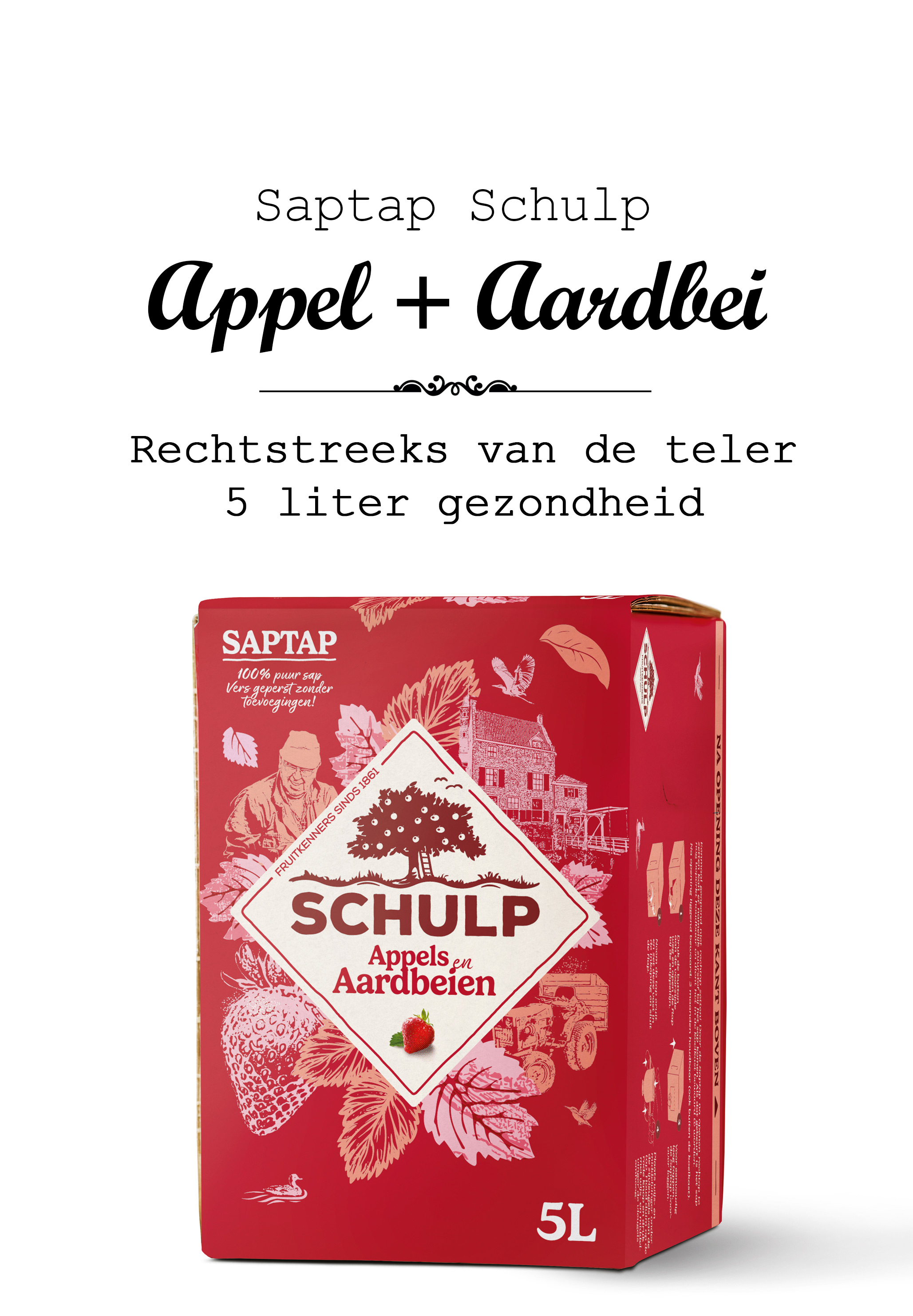 Sap - Tap 5 ltr - Appel+Aardbei - Schulp