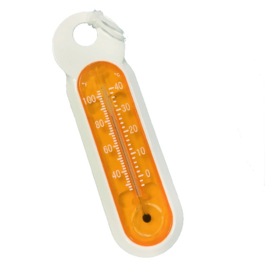 Zwembad thermometer